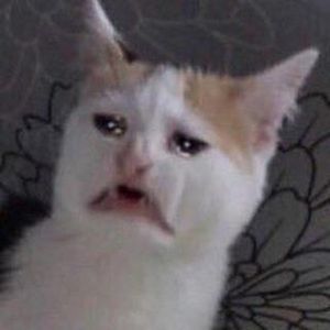 Meet your Posher, Eve